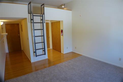 Loft with Wood, Ceramic &amp; New Carpet